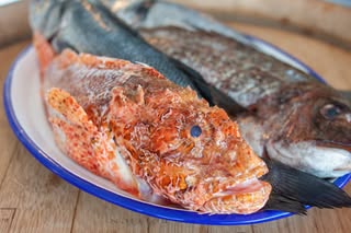 Pescado fresco en los restaurantes de la Colonia sant jordi